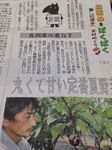 新潟日報　2014･8･16　お薦めをばくばく!!　*新聞掲載